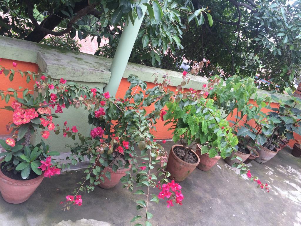 Hotel Backpackers Inn Katmandu Kültér fotó